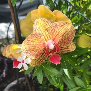 Meet your Posher, Peggy